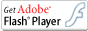 flash player